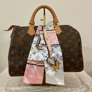 Brown Designer Women's Twilly Scarf